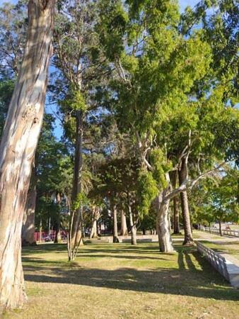 Apartamentos Mar De La Concha 빌라가르시아 데 아로우사 외부 사진